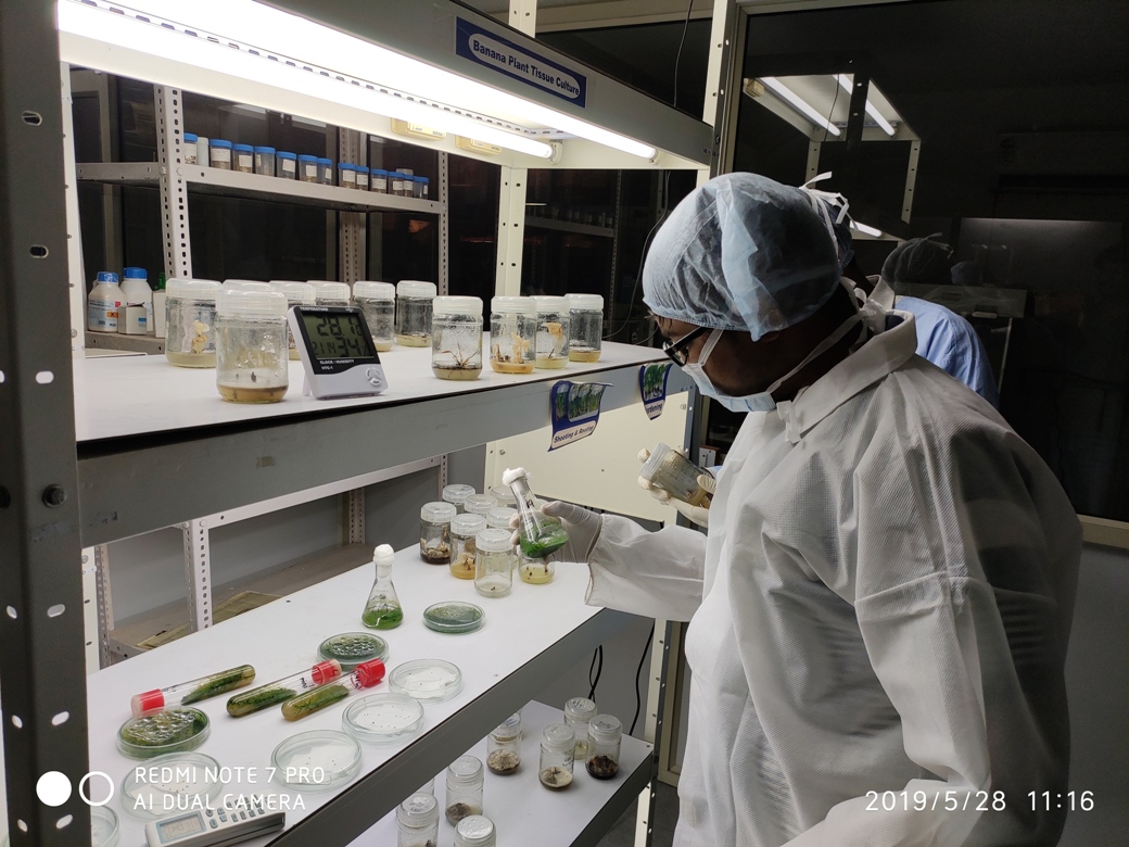 ADVANCED PLANT TISSUE CULTURE LAB HVHP INSTITUTE